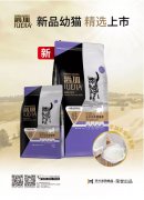 爵加新品幼貓精選上市！