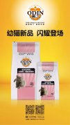 奧丁精品幼貓糧閃耀登場(chǎng)！?。?></div>
                <div>
                    <h2>奧丁精品幼貓糧閃耀登場(chǎng)?。?！</h2>
                    <div><span>2019-06-27

</span><span>查看更多</span></div>
                </div>
            </a><li>
             <a href=