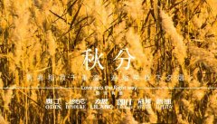 秋分丨晝夜分畫，漸入秋華