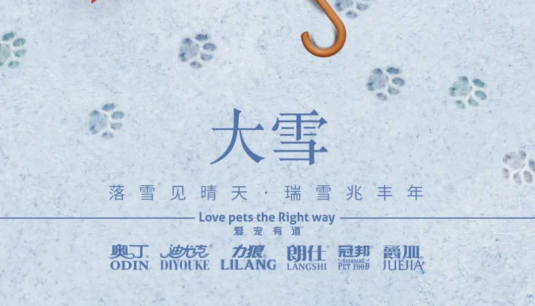 大雪丨雪落知寒意 久伴見初心！