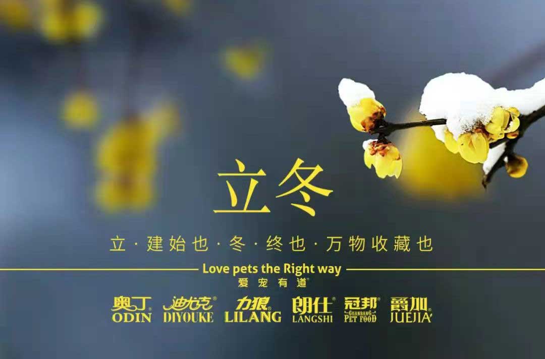 立冬丨冬寒初始，情暖愈濃