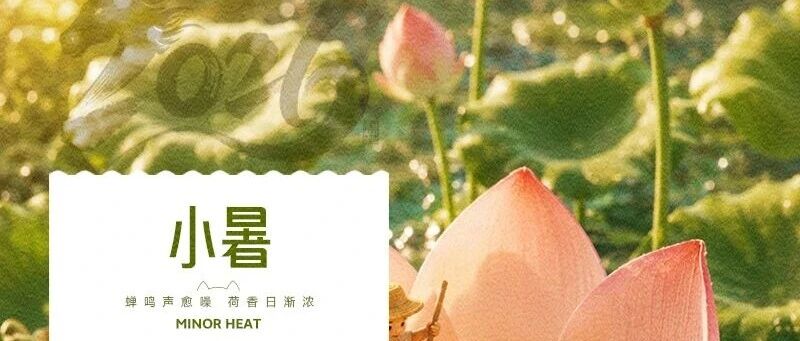 華興寵物